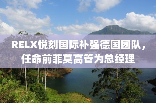 RELX悦刻国际补强德国团队，任命前菲莫高管为总经理