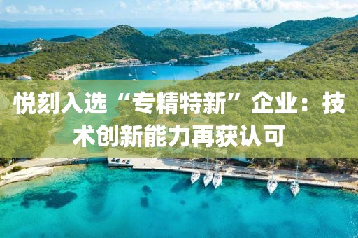 悦刻入选“专精特新”企业：技术创新能力再获认可