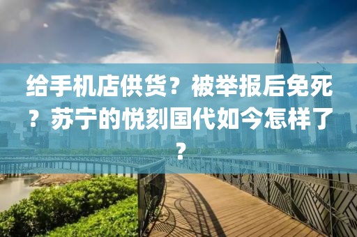 给手机店供货？被举报后免死？苏宁的悦刻国代如今怎样了？